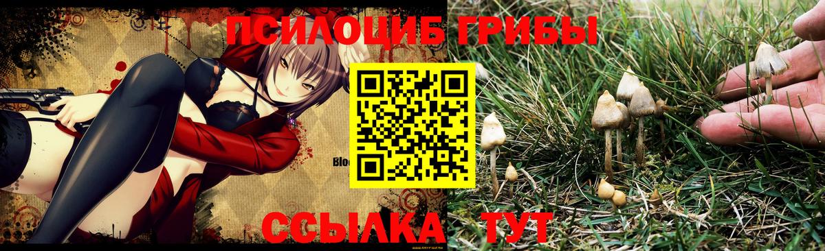 Конопля  Экстази  Керчь  КОКАИН  МДМА  ГАШ  Вход с VPN  МЕФ кристаллы 