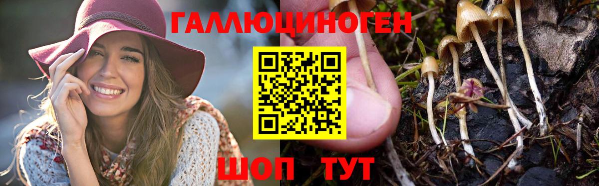 Галлюциногенные грибы мухоморы Керчь